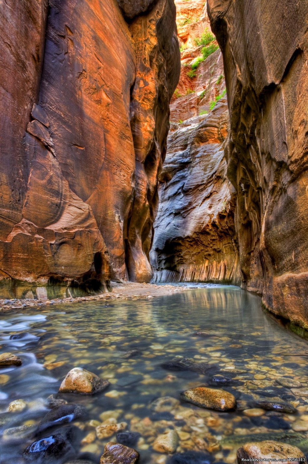 The Narrows, Zion National Park | Four Season Guides | Grand Canyon, Arizona  | Hiking & Trekking | Image #1/12 | 