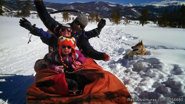 Dog Sled Rides of Winter Park Photo