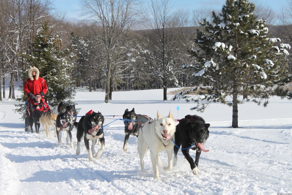 Nature's Kennel Sled Dog Racing and Adventures | Image #6/10 | 