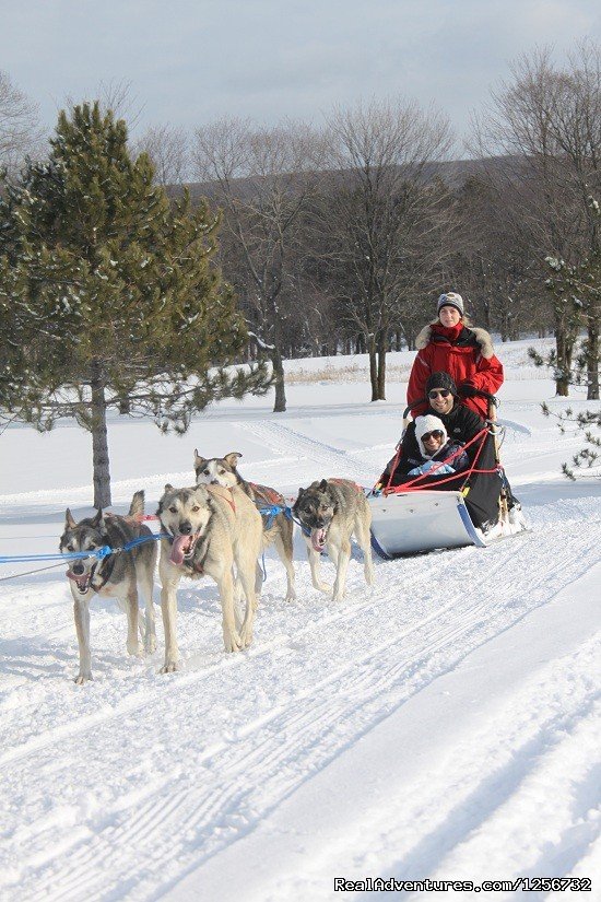 Rides at Boyne Highlands | Nature's Kennel Sled Dog Racing and Adventures | Image #7/10 | 