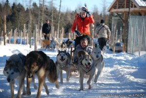 Chenil la Poursuite | St-Nicolas, Quebec Dog Sledding | Great Vacations & Exciting Destinations