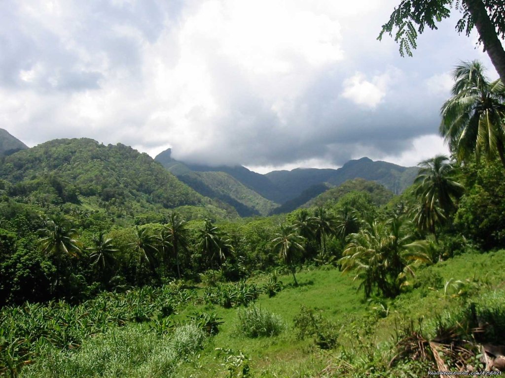 Riverside Lodge : Dominica's mountains view | Riverside Glamping in Dominica | Image #2/24 | 