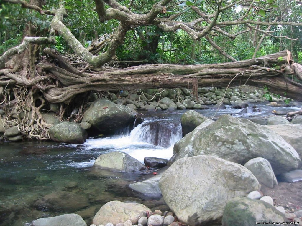 Riverside Lodge waterfall | Riverside Glamping in Dominica | Image #12/24 | 