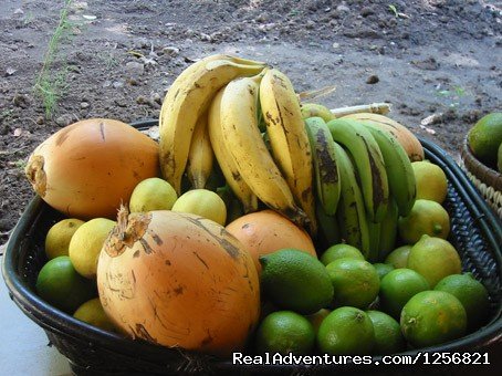 Riverside lodge fruits | Riverside Glamping in Dominica | Image #13/24 | 
