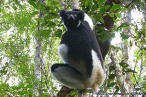 Madagascar Tour Package | Antananarivo, Madagascar | Sight-Seeing Tours
