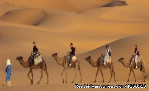 Camel Treks-Merzouga dunes | Merzouga Journeys: Morocco Desert Tours | Marakech, Morocco | Sight-Seeing Tours | Image #1/6 | 