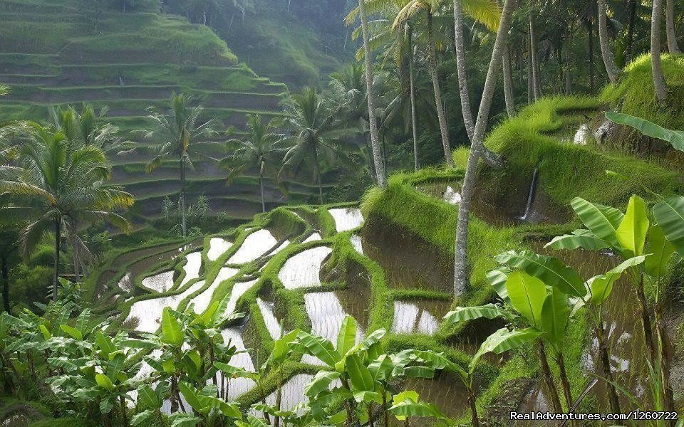 Kerala Hill Stations | Kerala Holiday Packages - Best Deal for Kerala | Image #2/6 | 