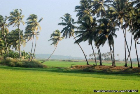 Sceinic Beauty of Kerala