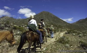 Vuelta a Los Paramo 4 days / 3 Nights | Acarigua, Venezuela | Hiking & Trekking