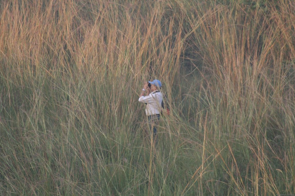 Birding For India | Birding in India | Image #3/16 | 