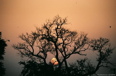 Sunrise In Bharatpur