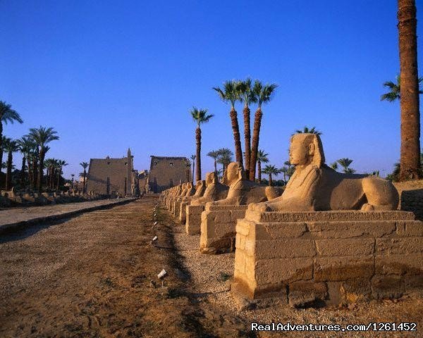 Egypt Dream | Image #9/19 | 