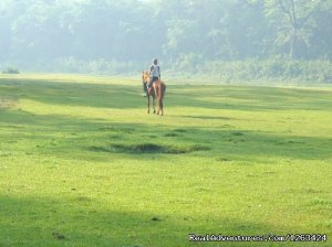 Horseback Riding  yoga and reiki in Nepal | Meghauli, Nepal | Horseback Riding & Dude Ranches