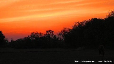 sunset of Budhanagar