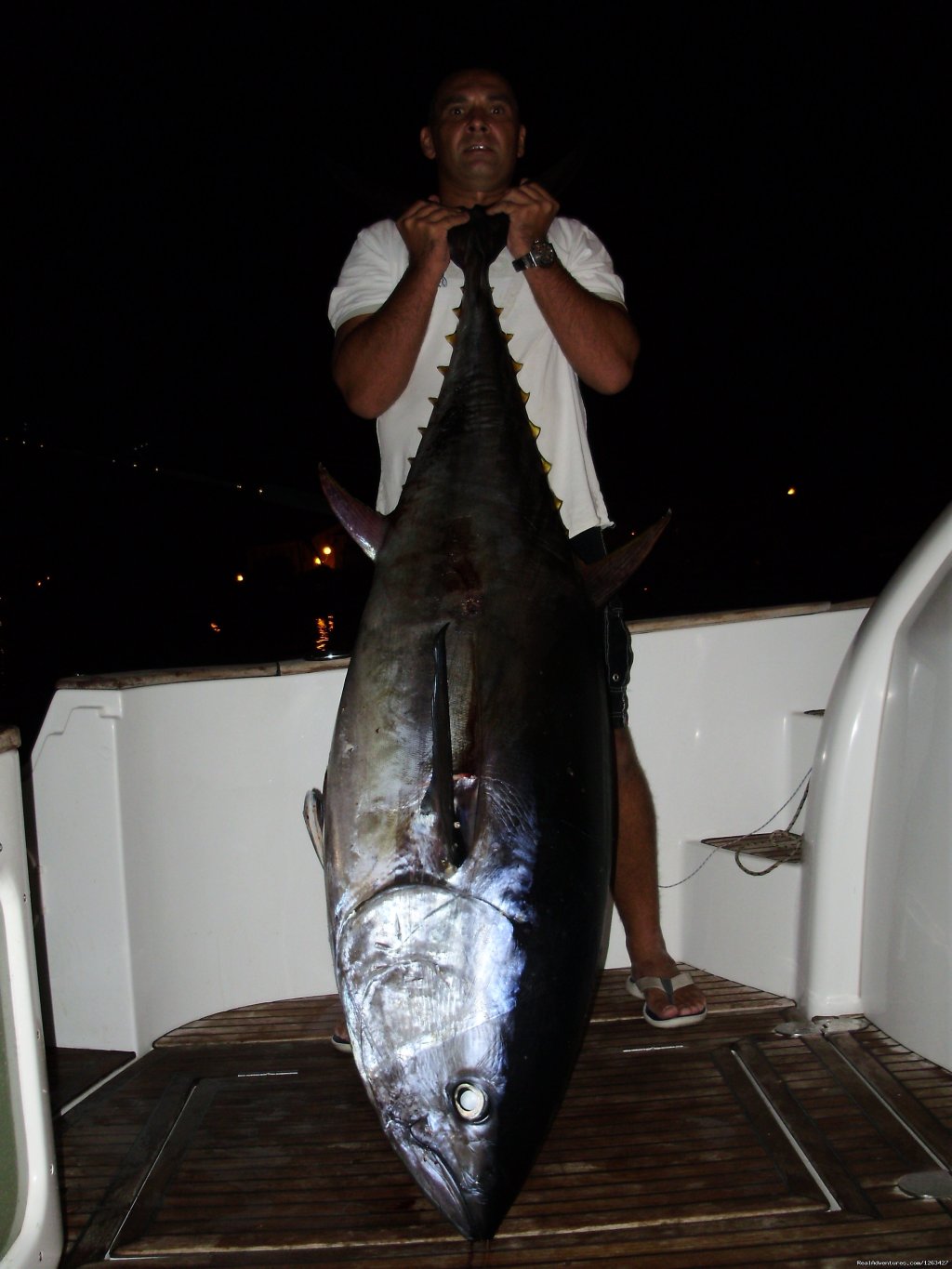 Catch Tunas and Swordfish in the Adriatic Sea | Image #10/23 | 