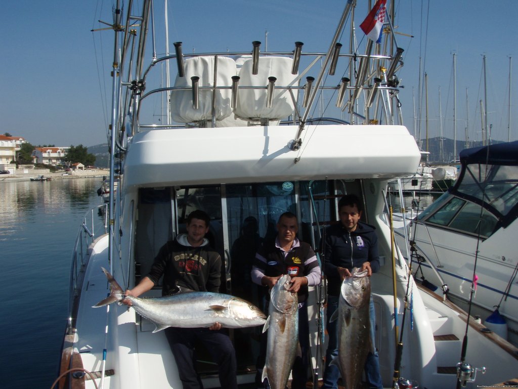 Catch Tunas and Swordfish in the Adriatic Sea | Image #3/23 | 