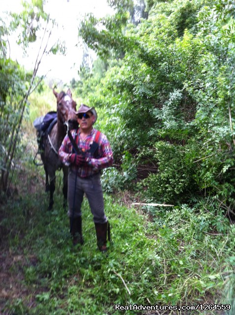 Just Horsin' Around Ranch Ernie And Kiowa Take A Trail Break