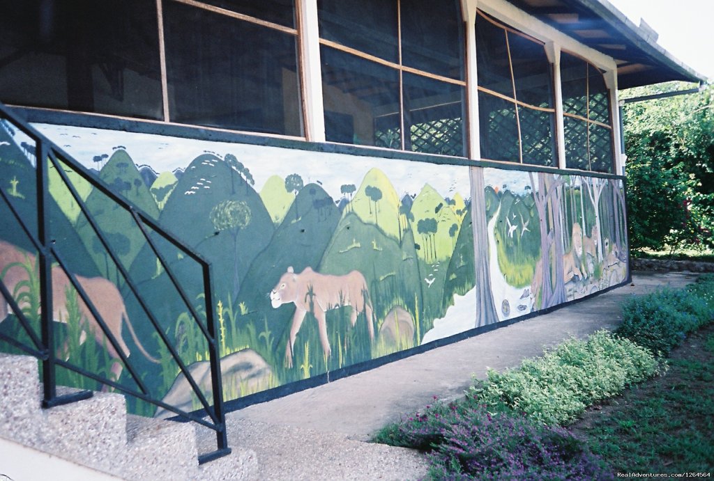 The Black Star Lions' mural | Black Star Lions' Guest Cottages | Image #4/24 | 