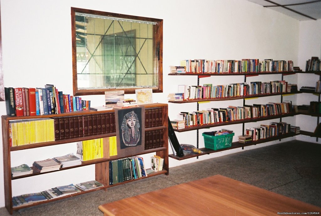 Black Star LIons' library | Black Star Lions' Guest Cottages | Image #7/24 | 