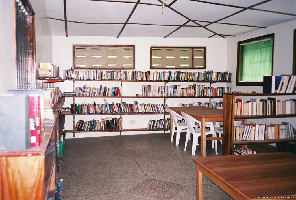 Black Star Lions' library at the business building. | Black Star Lions' Guest Cottages | Image #8/24 | 