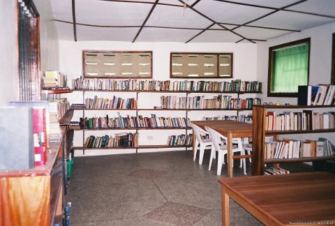Black Star Lions' library at the business building.