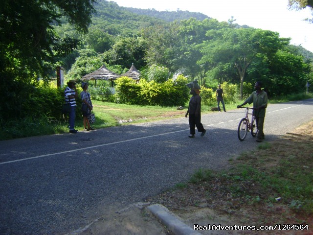 Black Star Lions' Guest Cottages Photo