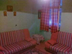 Accomadation for EXIT festival in the centre | Novi Sad, Serbia | Youth Hostels