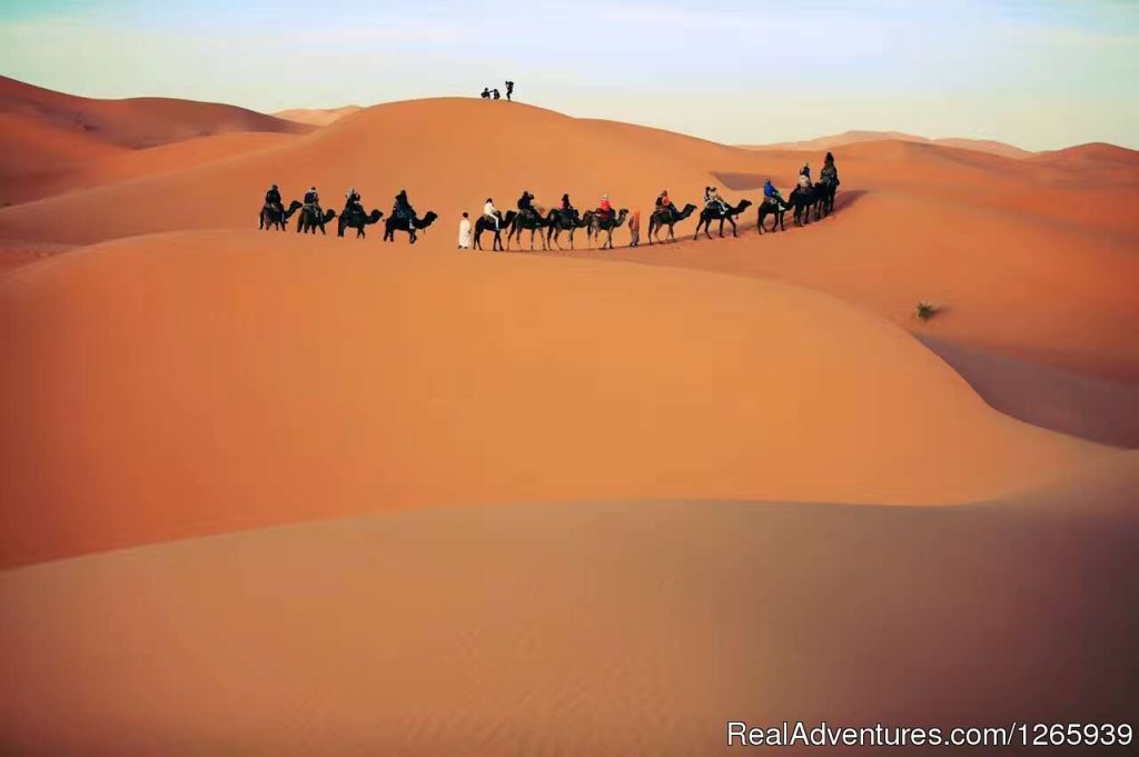 Merzouga Camel Trekking | Morocco Tours | Desert Tours from Marrakech | Image #3/8 | 