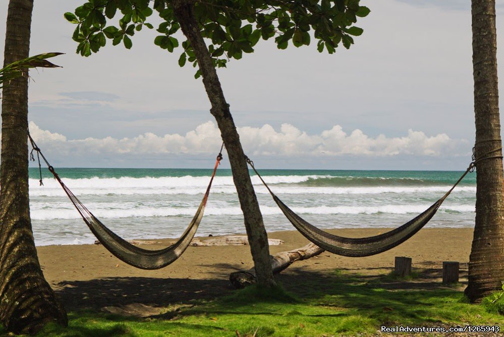 Hammocks at the beach | Clandestino Beach Resort beachfront boutique hotel | Image #13/25 | 