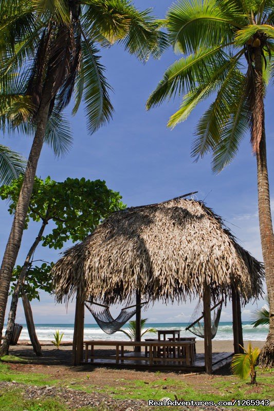 Relax | Clandestino Beach Resort beachfront boutique hotel | Image #15/25 | 