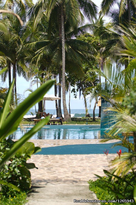 Beachfront pool surrounded by gardens | Clandestino Beach Resort beachfront boutique hotel | Image #22/25 | 