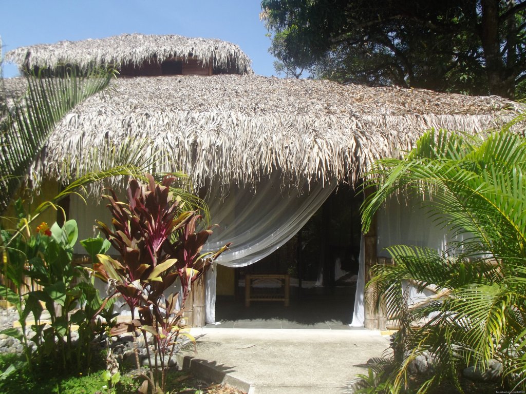 12 Rooms With Private Entrance | Clandestino Beach Resort beachfront boutique hotel | Image #25/25 | 