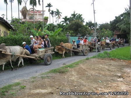 Riding on oxcart along the winding village road | Memento Bed & Breakfast | Image #9/13 | 