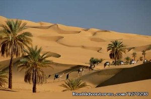 Best Of Morocco Holidays | Marrakech, Morocco Sight-Seeing Tours | Great Vacations & Exciting Destinations