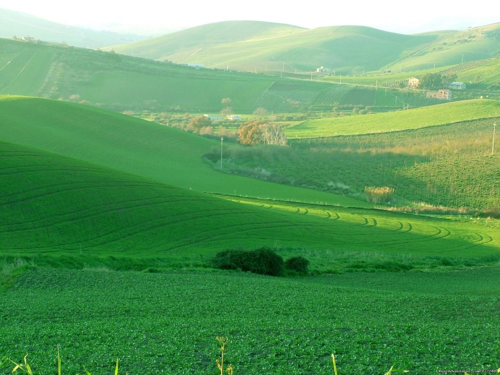 Landscape | Beautiful Farm Holiday in Corleone, Sicily | Image #7/25 | 