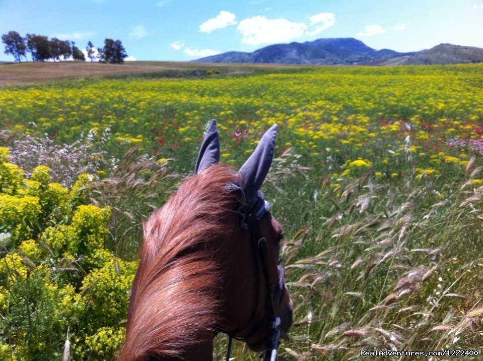 Riding | Beautiful Farm Holiday in Corleone, Sicily | Image #11/25 | 