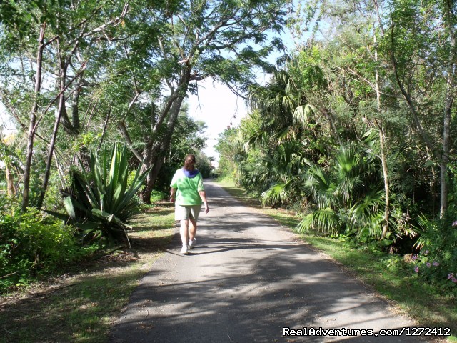 Bermuda: Island Walk - Freewheeling Adventures Photo