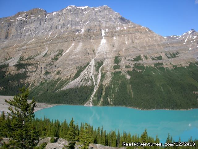 Cycle Jasper to Banff with Freewheeling Adventures Photo