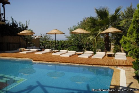 Outdoor Pool at Mandarin Boutique Hotel