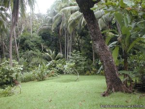 Private Tropical Fjord Beach Primary Rainforest | Rincon de Osa, Costa Rica | Vacation Rentals
