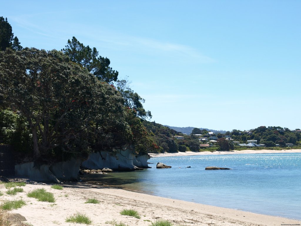 A nice secluded beach in the Coromandel | Self Drive and Guided New Zealand Tours | Image #2/19 | 
