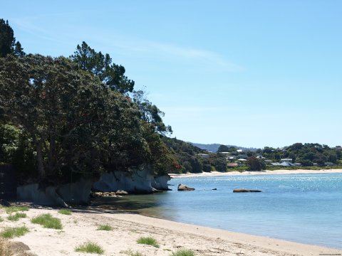 A nice secluded beach in the Coromandel