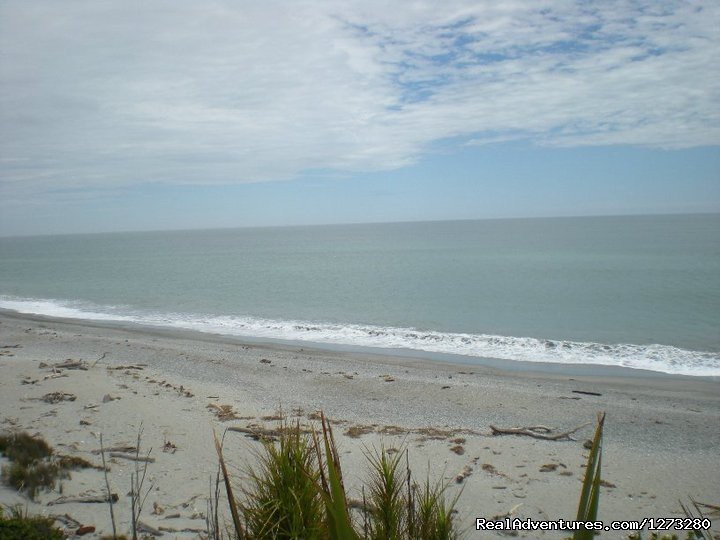 A deserted beach near Haast | Self Drive and Guided New Zealand Tours | Image #14/19 | 