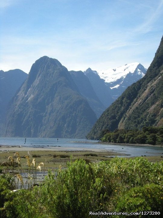 Milford Sound | Self Drive and Guided New Zealand Tours | Image #15/19 | 