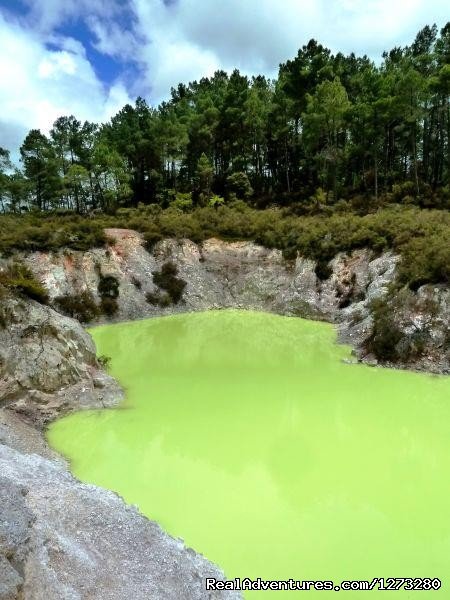 Wai-O Tapu Thermal Wonderland | Self Drive and Guided New Zealand Tours | Image #18/19 | 