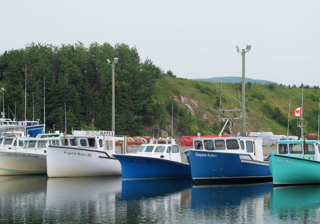 Nova Scotia Outer Islands Seakayak - Freewheeling | Image #5/9 | 