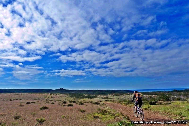 Cycle To The Cape | Portugal Wild Coast 7D | Image #21/21 | 