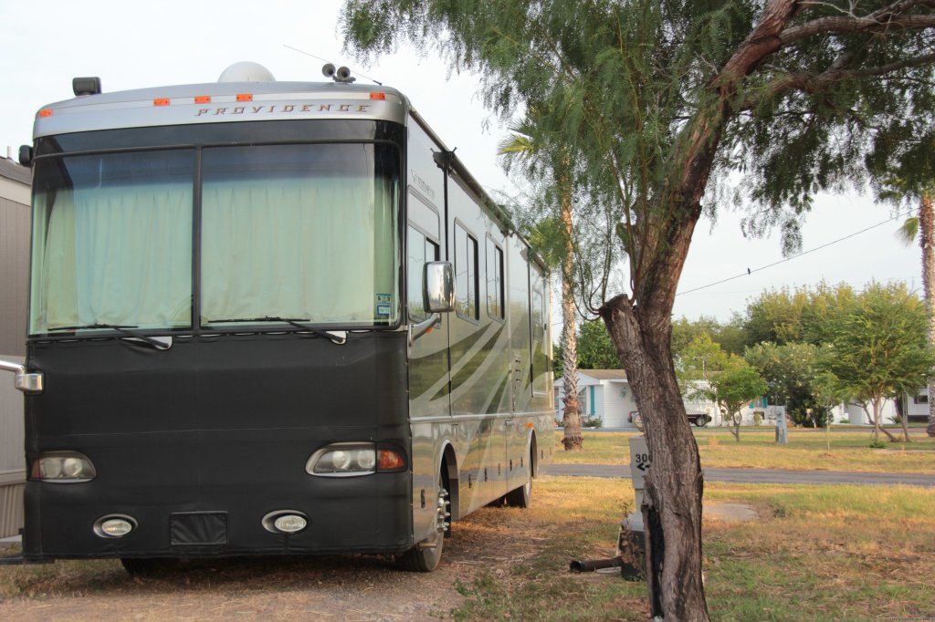 Shady sites for your big rig | Spend Winter In The Sun At Oleander Acres Resort | Mission, Texas  | Campgrounds & RV Parks | Image #1/7 | 