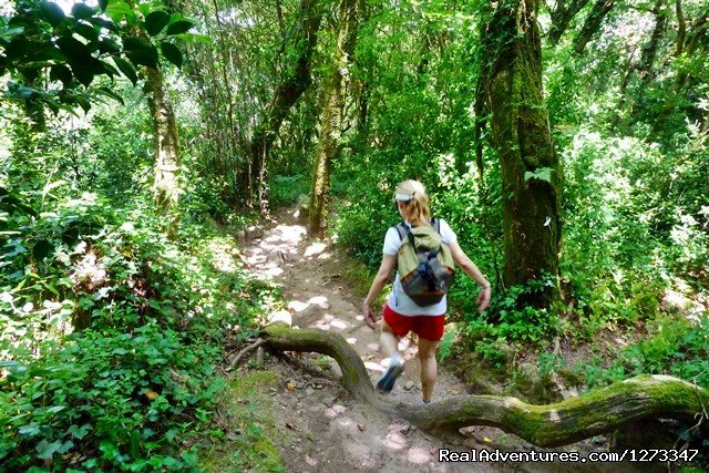 Sintra Trails | Sintra Heritage & Coastal Trails 8D | Sintra, Portugal | Hiking & Trekking | Image #1/5 | 