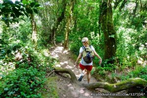 Sintra Heritage & Coastal Trails 8D | Sintra, Portugal | Hiking & Trekking